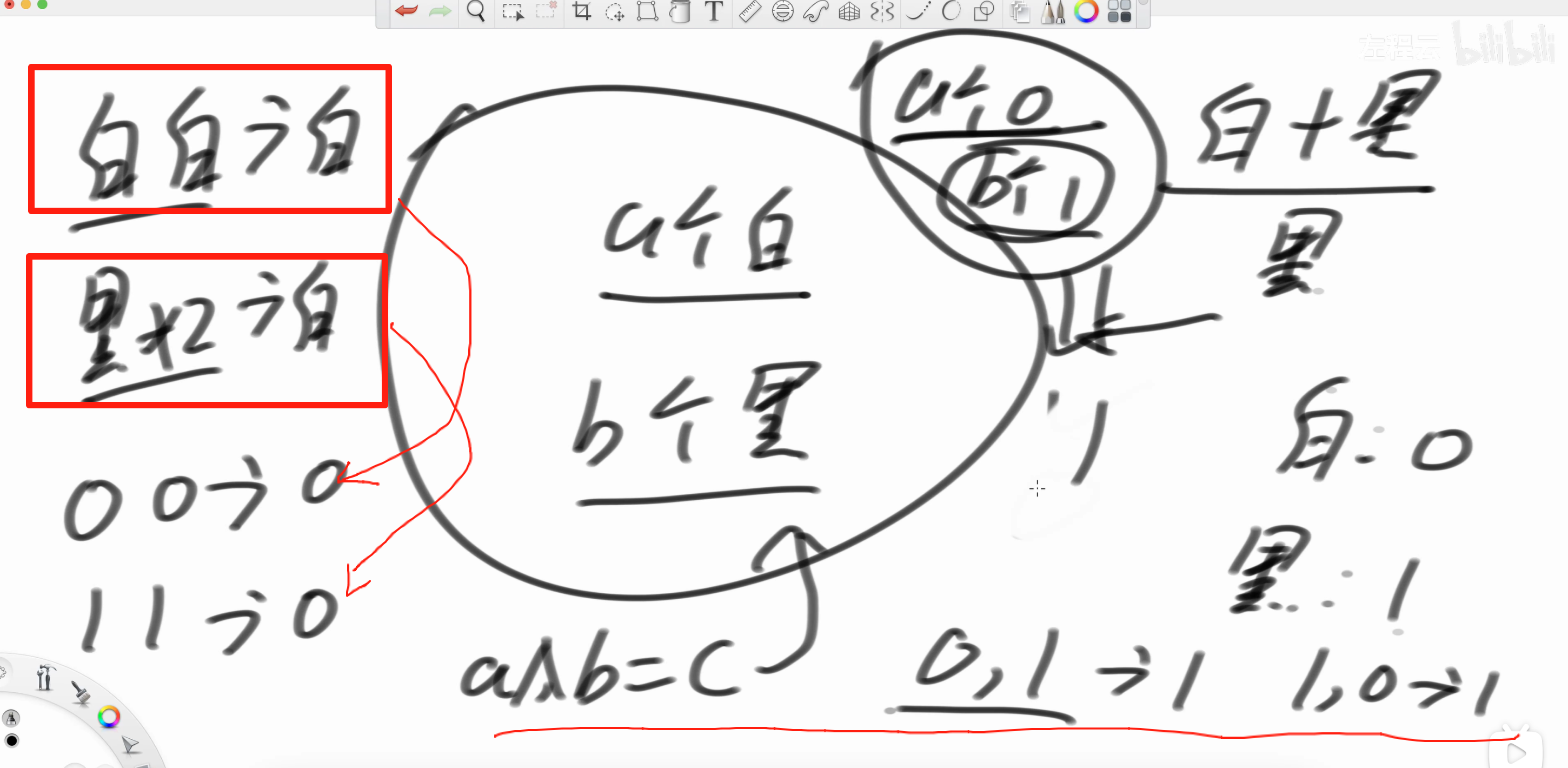 黑白球结果
